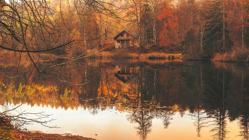 Remote Lodge in the Forest