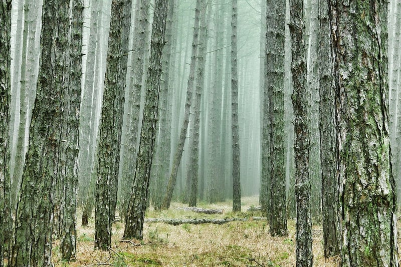 Hiking Adventure in Nature